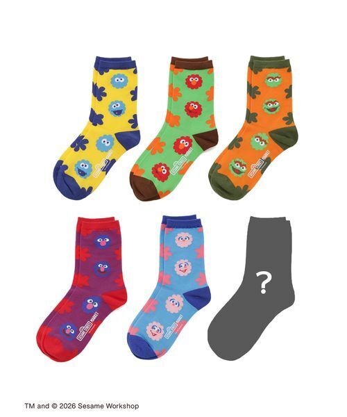 SESAME STREET（セサミストリート） 靴下 シークレット缶入りソックス