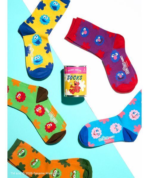 SESAME STREET（セサミストリート） 靴下 シークレット缶入りソックス