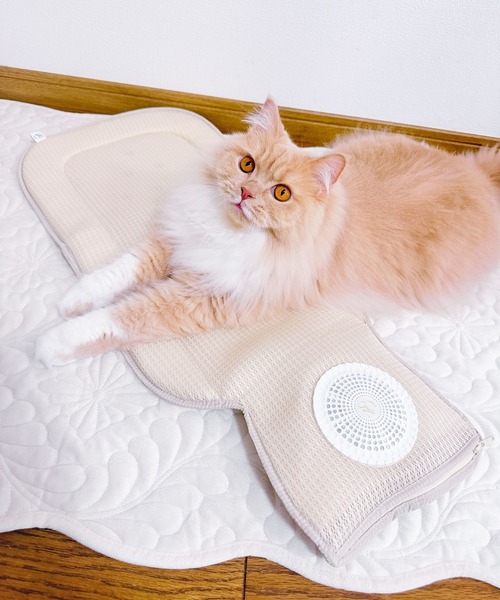 ONEKOSAMA OINUSAMA（おねこさま・おいぬさま） ペットキャリー 「暑さ