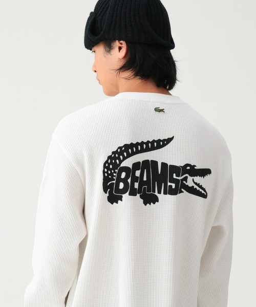 限定セールLACOSTE Exclusive Edition T 新品タグ付き LACOSTE（ラコステ） tシャツ 「別注」LACOSTE / ロゴ サーマル T