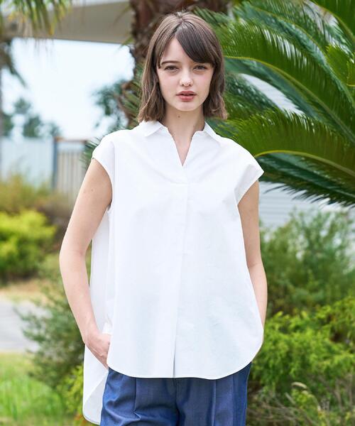 DRESSTERIORブラウス　美品、希少サイズ34 DRESSTERIOR（ドレステリア） ブラウス シャツ フレンチスリーブ