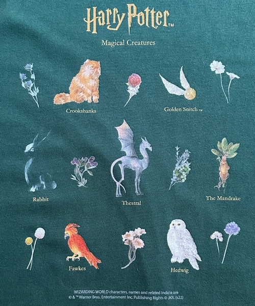 tシャツ FD: キャラチョイ HARRYPOTTER ハリーポッター Tシャツ レディース メンズ COMMON WARE tシャツ FD: キャラチョイ HARRYPOTTER ハリー