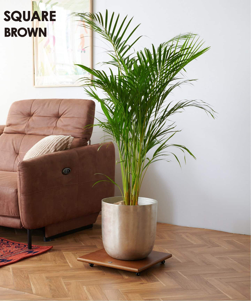 journal standard Furniture（ジャーナル スタンダード ファニチャー