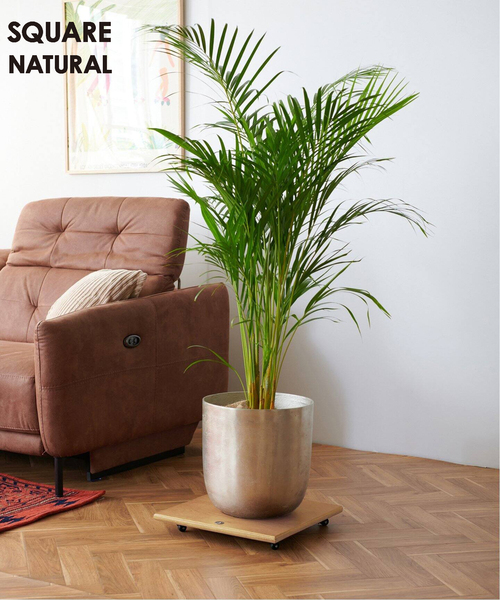 journal standard Furniture（ジャーナル スタンダード ファニチャー