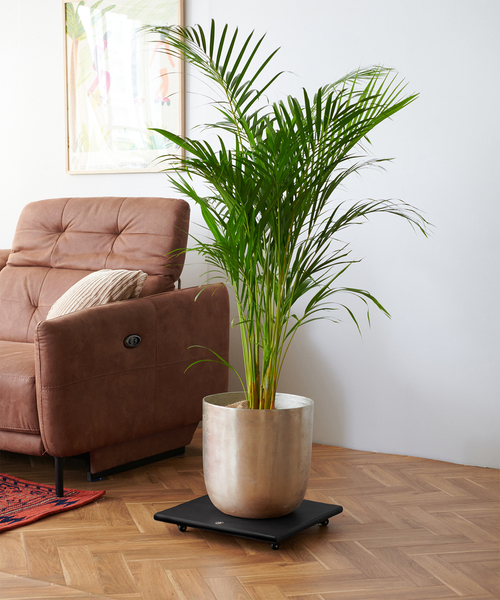 ジャーナルスタンダードファニチャー 植木鉢 イデー プエブコ ミッド