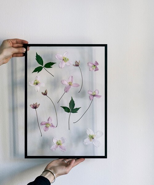 インテリア 「MOEBE」FRAME A3の画像