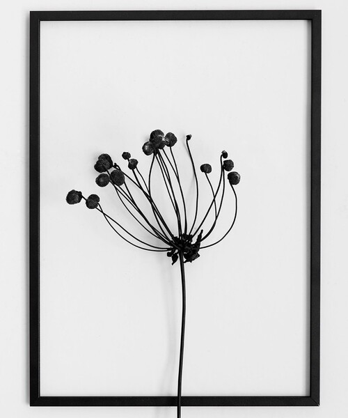 インテリア 「MOEBE」FRAME A3の画像