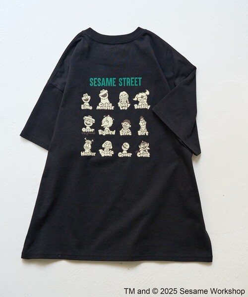 tシャツ SESAME STREET/セサミストリート 別注 T PRINT LST レディース SESAME STREET tシャツ STREET/セサミストリート 別注 T PRINT