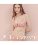 ブラジャー ショーツセット 「Aカップ〜きゅっ...の詳細画像2