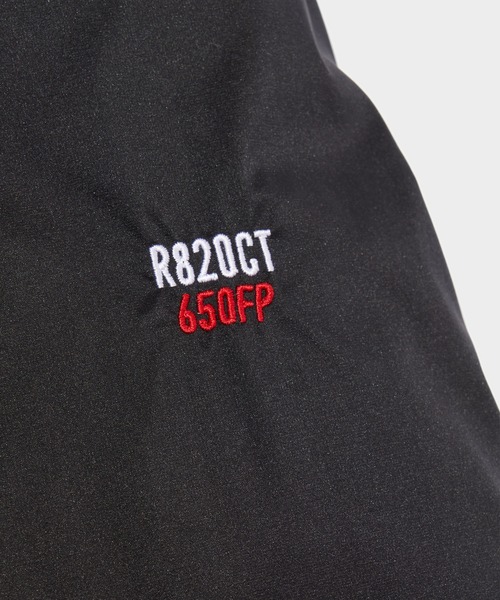 DELUXE（デラックス） ダウンジャケット ダウン DELUXE x NANGA DOWN