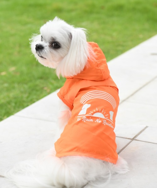 Calulu 犬 服 Calulu/カルル/レインコート ネオンカラー/犬服(ドッグ