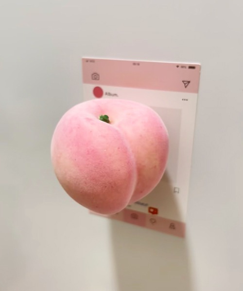 Ein（アイン） インテリア Ein/リアル 食品サンプル マグネット