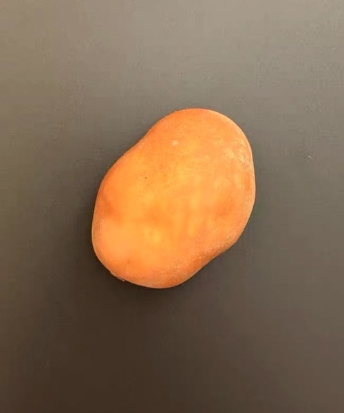 Ein（アイン） インテリア Ein/リアル 食品サンプル マグネット