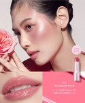 口紅 リップ ファミュ femmue ル・ルージュの詳細画像3