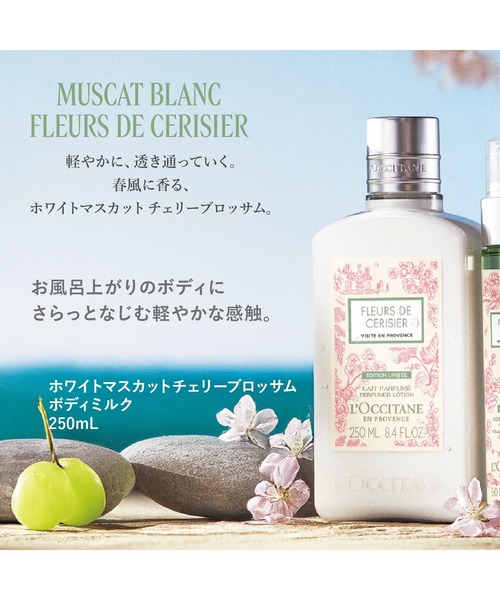 L'OCCITANE HERBAE ボディミルク 3本セット L'OCCITANE ボディクリーム ロクシタン l'occitane 「数量限定