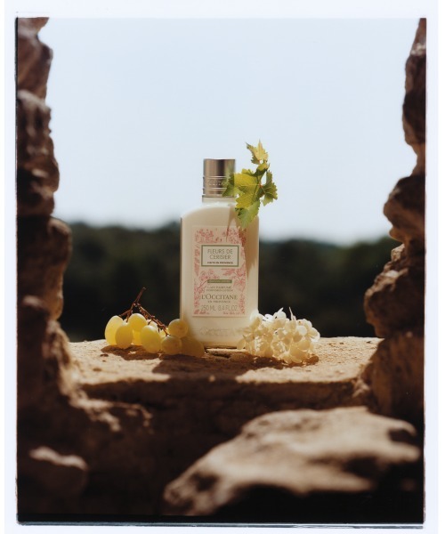L'OCCITANE ボディクリーム ロクシタン l'occitane 「数量限定