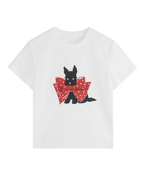 「Fano Studios」 半袖Tシャツ L ホワイト レディース