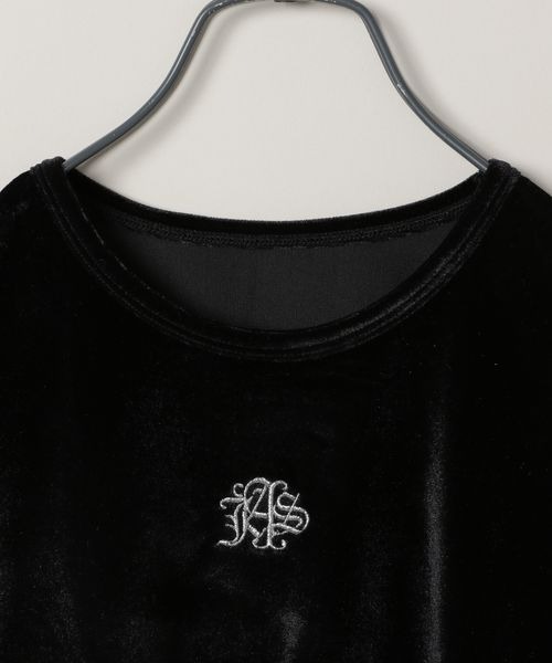 tシャツ シアーベロアシシュウクロップドTEE/149549 レディース | JEANASIS | 10