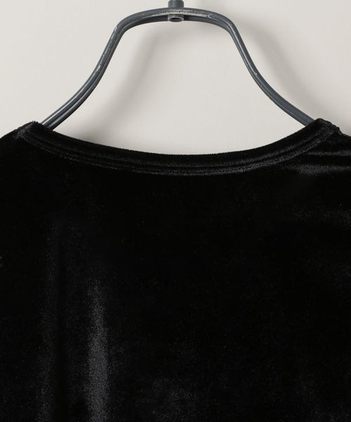 tシャツ シアーベロアシシュウクロップドTEE/149549 レディース | JEANASIS | 14