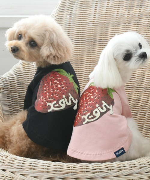 X-girl（エックスガール） 犬 服 X-girl/ストロベリーT : ZOZOTOWN