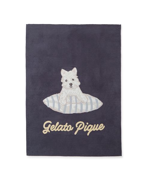 Gelato Pique 猫プリント ルームウェアセット　パープル　新品未使用 ジェラートピケ gelato pique 【ONLINE限定】【UNISEX】エアリーモコ