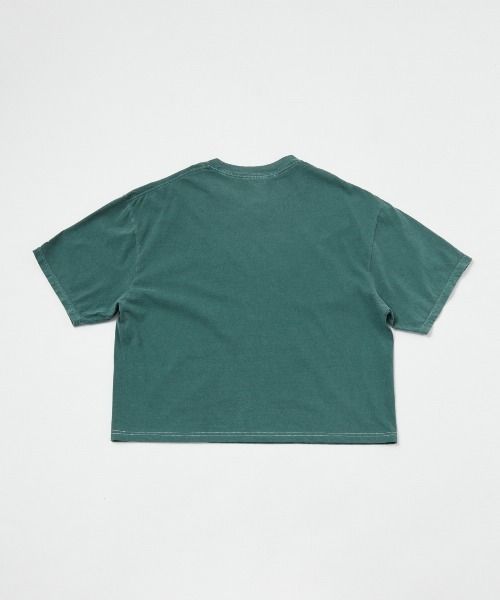 「PARROTT CANVAS」 半袖カットソー ONE SIZE ピンク レディース_画像5