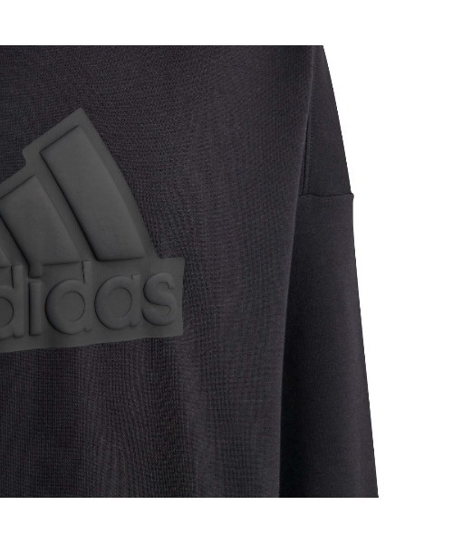 adidas（アディダス） トレーナー フューチャー アイコン ロゴ フード