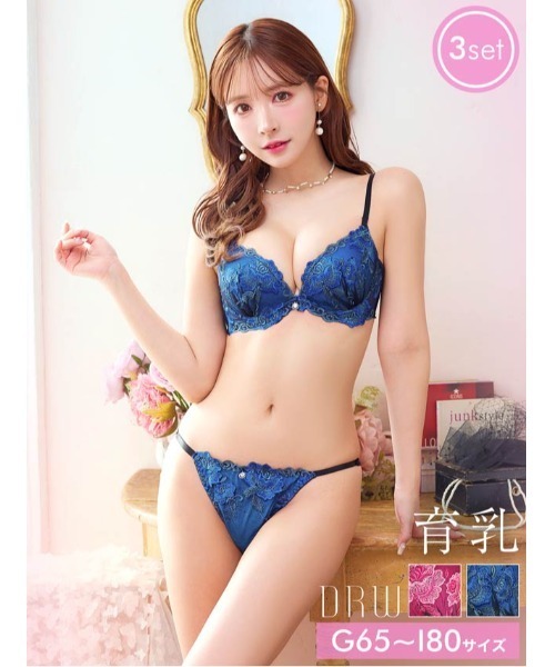 ブラジャー ショーツセット ディープマーベラスローズ育乳脇高