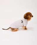 犬 服 パフィーロゴクールTシャツ/小型犬/M...の詳細画像1