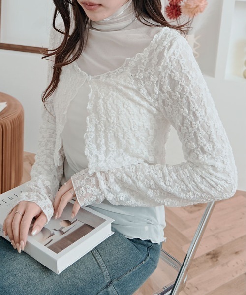 tシャツ 上品な透け感がかわいい。シアー メッシュ ハイネック