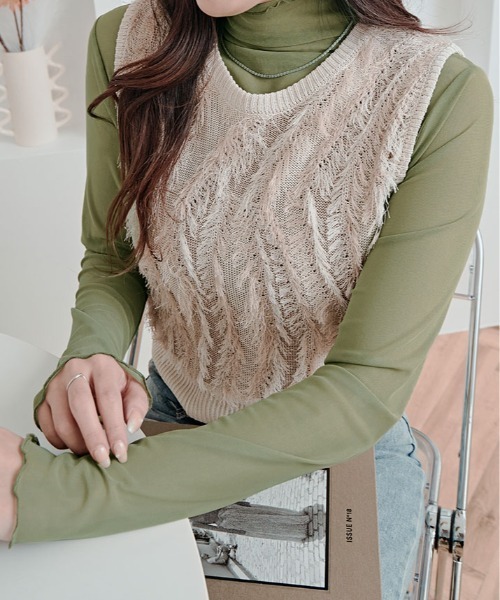 tシャツ 上品な透け感がかわいい。シアー メッシュ ハイネック