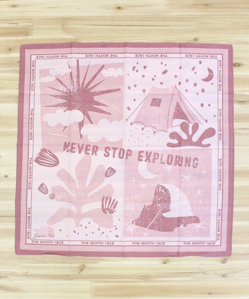 THE NORTH FACE（ザ ノースフェイス） スカーフ バンダナ TNF バンダナ