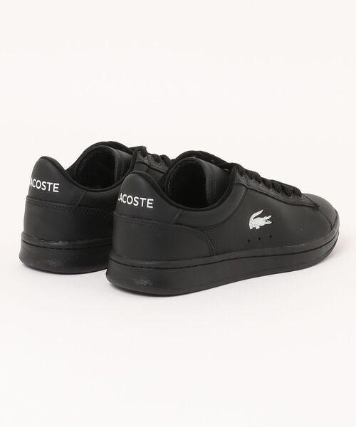 LACOSTE（ラコステ） スニーカー CARNABY SET 225 5 SFA 50SFA0056 02H