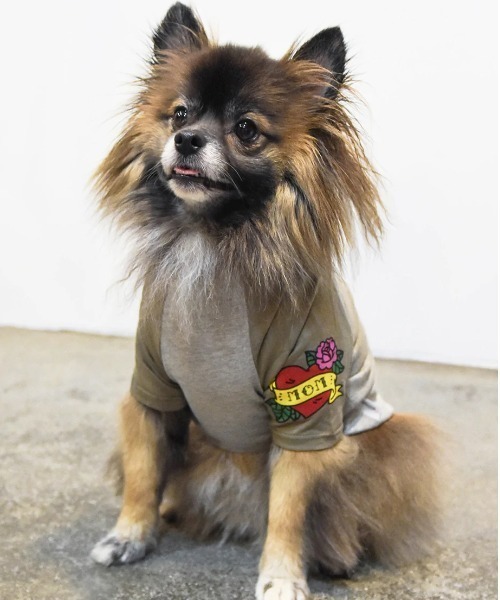 犬 服 MOM TATTOO TEE : ZOZOTOWN Yahoo!店 - 通販 - Yahoo!ショッピング