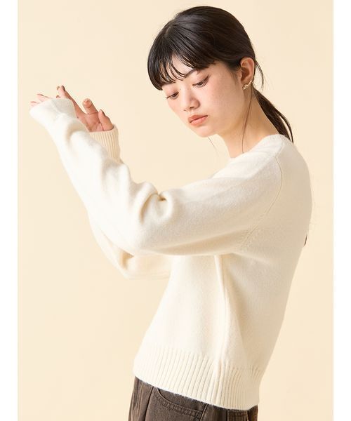 LILY BROWN（リリーブラウン） ニット セーター ×ANNA SUI」バタフライ