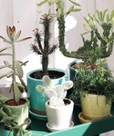 花瓶 COLOR GLAZED POT/5号 植木鉢の詳細画像1