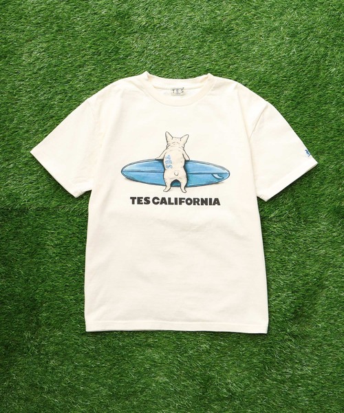 「The Endless Summer」 半袖Tシャツ X-LARGE ホワイト メンズ_画像5