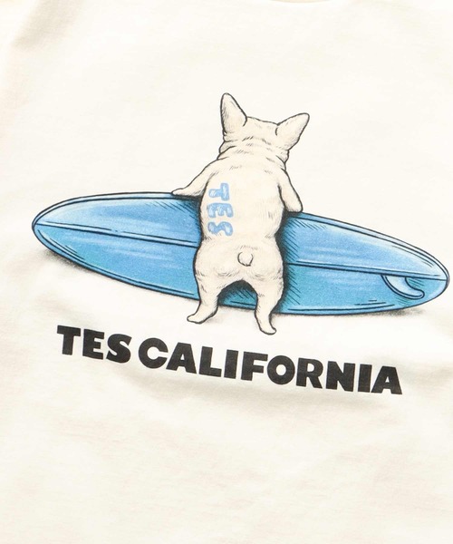 「The Endless Summer」 半袖Tシャツ X-LARGE ホワイト メンズ_画像8