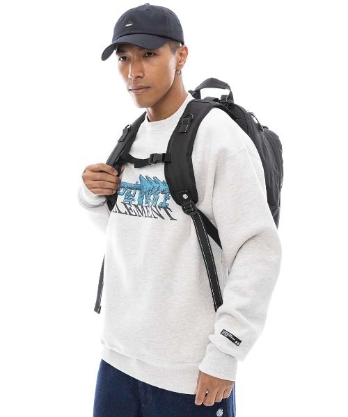 ELEMENT（エレメント） デイバック リュック メンズ SCHEME SKATE BPK