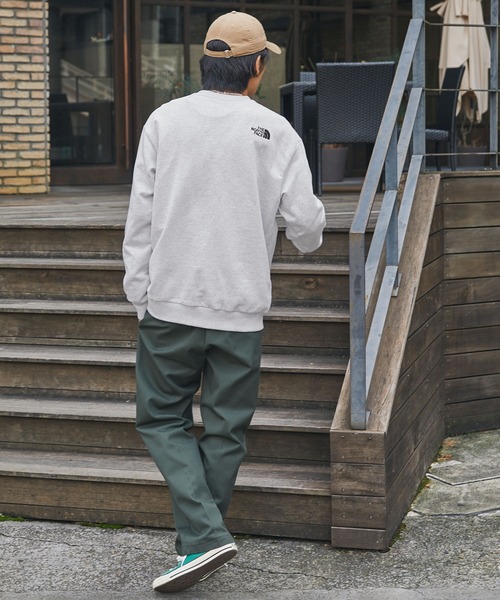 「THE NORTH FACE」 スウェットカットソー L ライトグレー メンズ