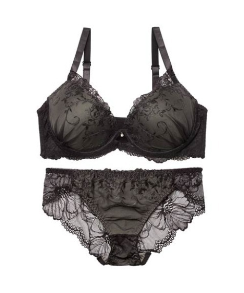 ブラジャー ショーツセット 「EFサイズ」グリッターアイビーエンブロイ