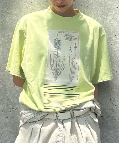 AMERI フラワーカットソー Ameri（アメリ） tシャツ CROP FRAME FLOWER TEE レディース