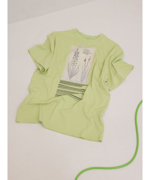 Ameri（アメリ） tシャツ CROP FRAME FLOWER TEE レディース