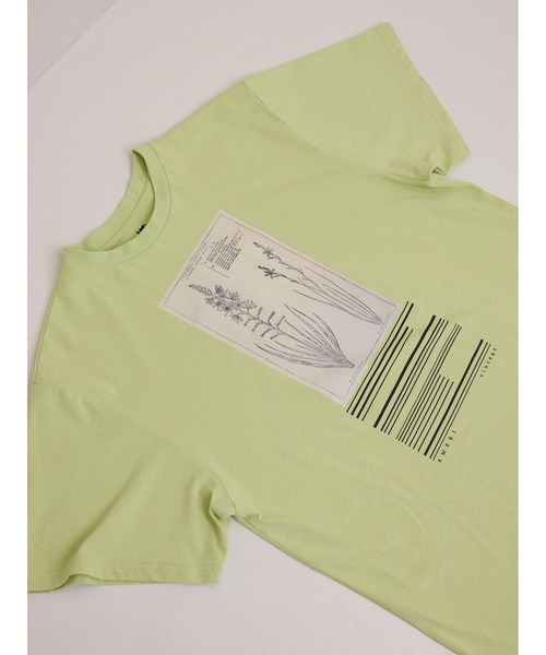 Ameri（アメリ） tシャツ CROP FRAME FLOWER TEE レディース
