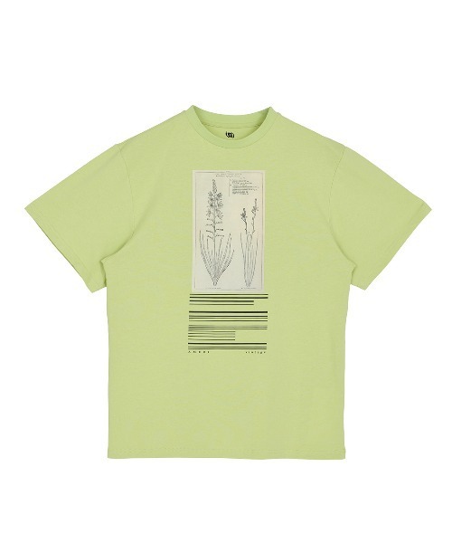Ameri（アメリ） tシャツ CROP FRAME FLOWER TEE レディース