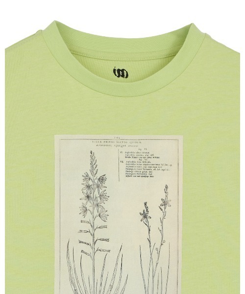Ameri（アメリ） tシャツ CROP FRAME FLOWER TEE レディース