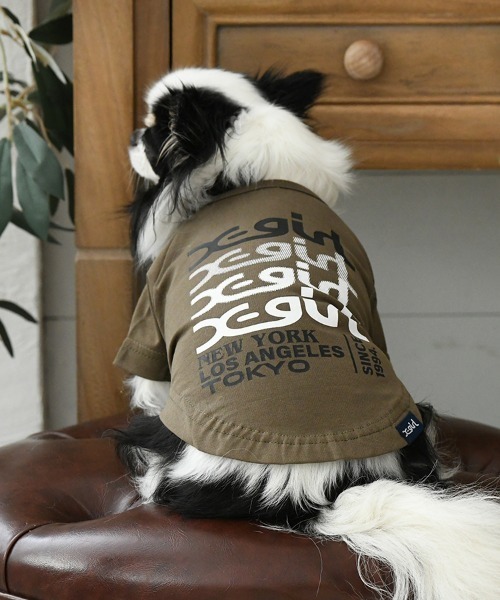 X-girl（エックスガール） 犬 服 X-girl/トランスペアレントミルズロゴ