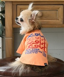 X-girl（エックスガール） 犬 服 X-girl/トランスペアレントミルズロゴ