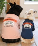 犬 服 AVIREX/メンテナンスパッチTEEの詳細画像1