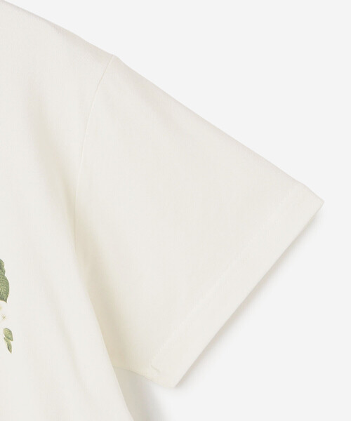 tシャツ History of Art | 「別注」プリントTシャツ FRUITS II WOMEN レディース History of Art | 〈別注〉プリントTシャツ FRUITS Ⅱ WOMEN（T